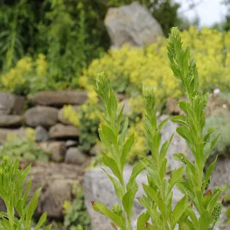 Seeleitenhof Sindelsdorf